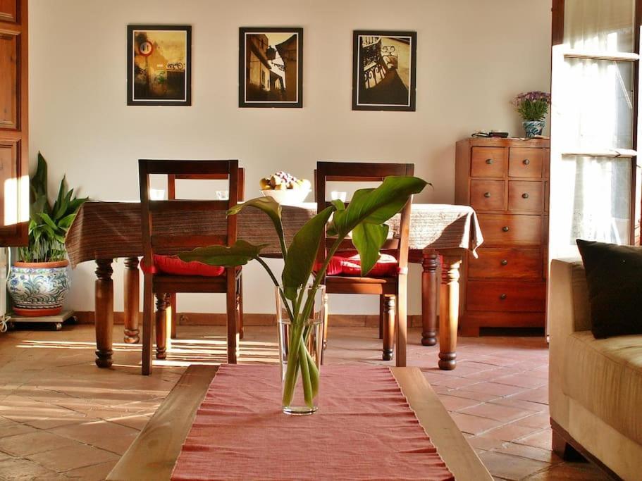 Apartamento Oasis Granada Ngoại thất bức ảnh